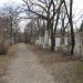 mini-IMG_3144