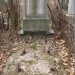 mini-IMG_3163