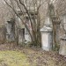 mini-IMG_3190