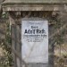 mini-IMG_3327