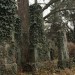 zentral_103
