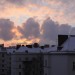 mini-IMG_3394