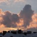 mini-IMG_3410